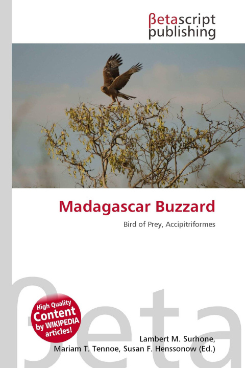 Kniha Madagascar Buzzard Mariam T. Tennoe