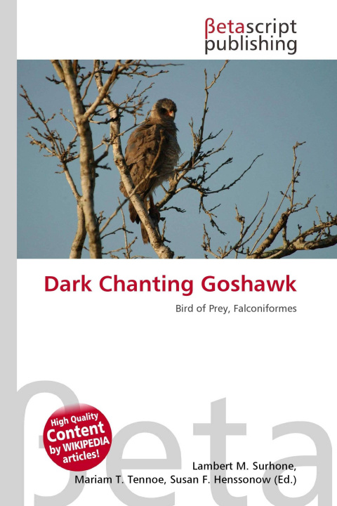 Kniha Dark Chanting Goshawk Mariam T. Tennoe