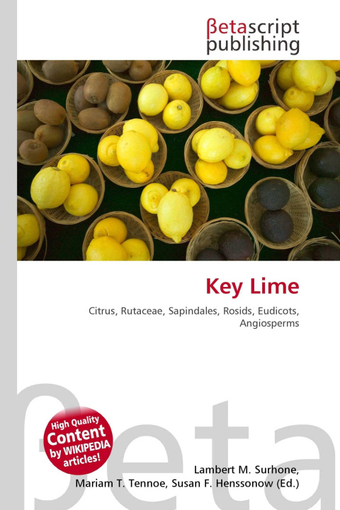 Kniha Key Lime Mariam T. Tennoe