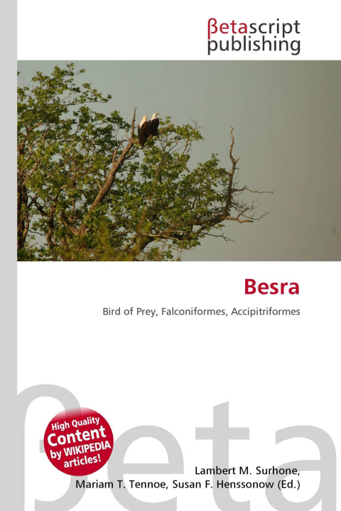 Kniha Besra Mariam T. Tennoe
