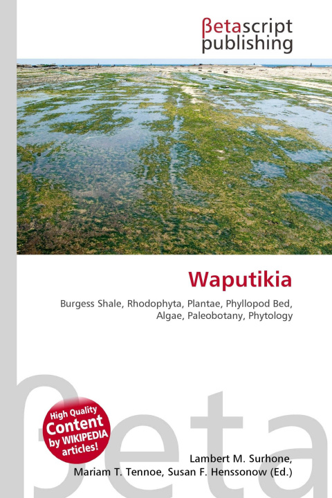 Kniha Waputikia Mariam T. Tennoe