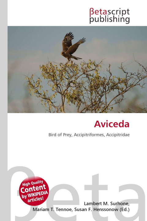 Kniha Aviceda Mariam T. Tennoe