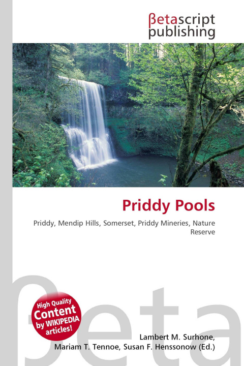 Könyv Priddy Pools Mariam T. Tennoe