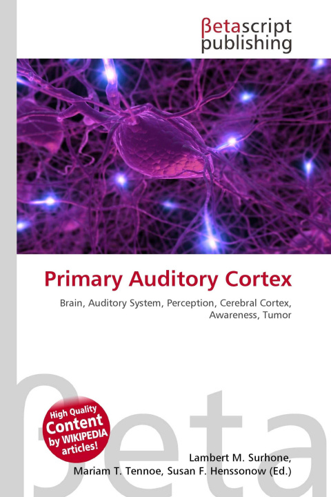 Kniha Primary Auditory Cortex Mariam T. Tennoe