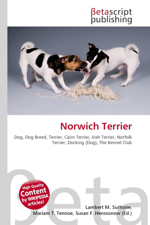 Kniha Norwich Terrier Mariam T. Tennoe