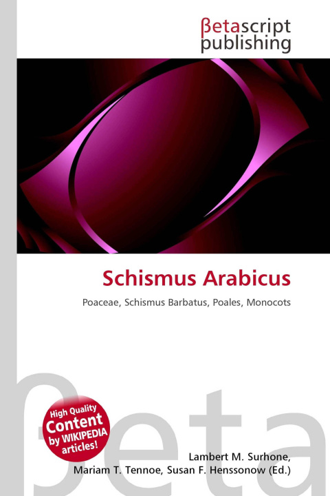 Kniha Schismus Arabicus Mariam T. Tennoe