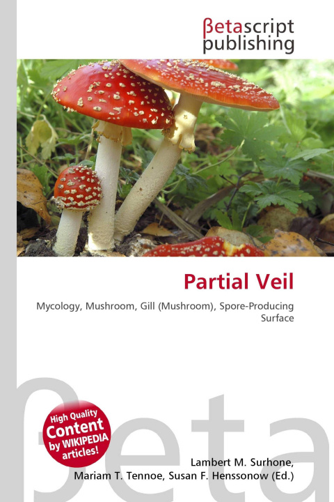 Kniha Partial Veil Mariam T. Tennoe