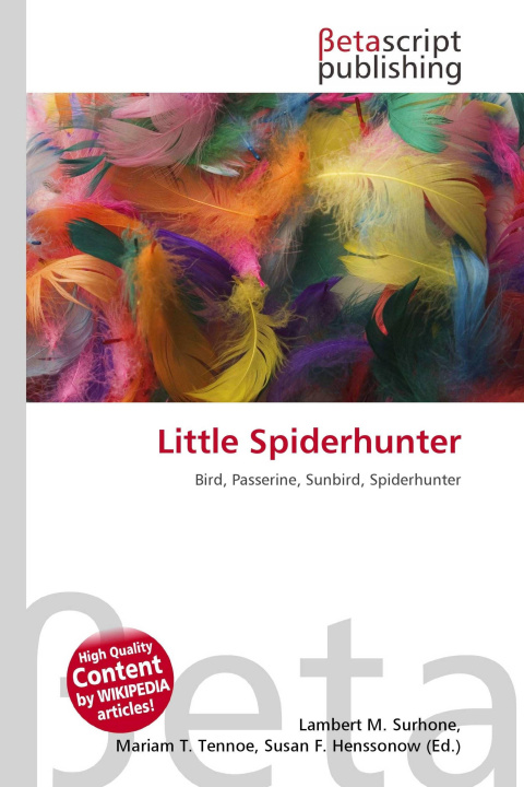 Knjiga Little Spiderhunter Mariam T. Tennoe