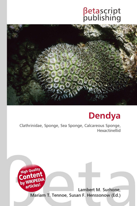 Kniha Dendya Mariam T. Tennoe