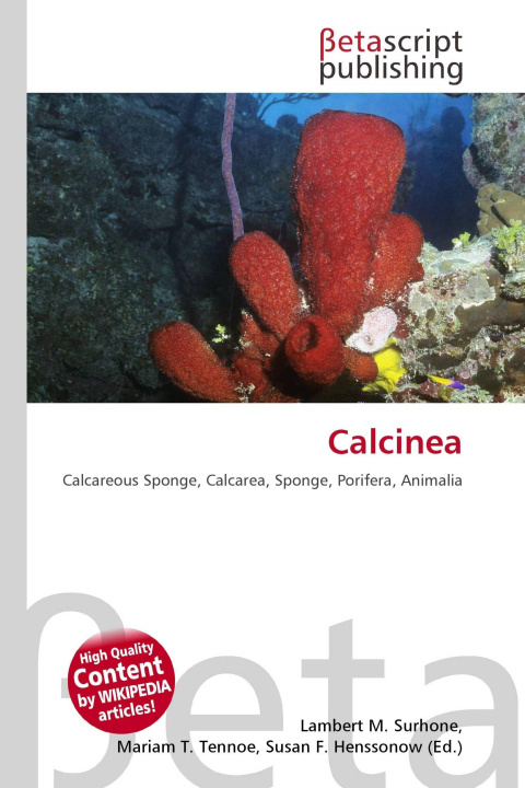 Kniha Calcinea Mariam T. Tennoe