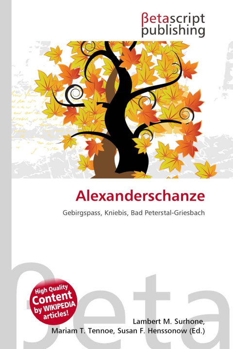 Kniha Alexanderschanze Mariam T. Tennoe