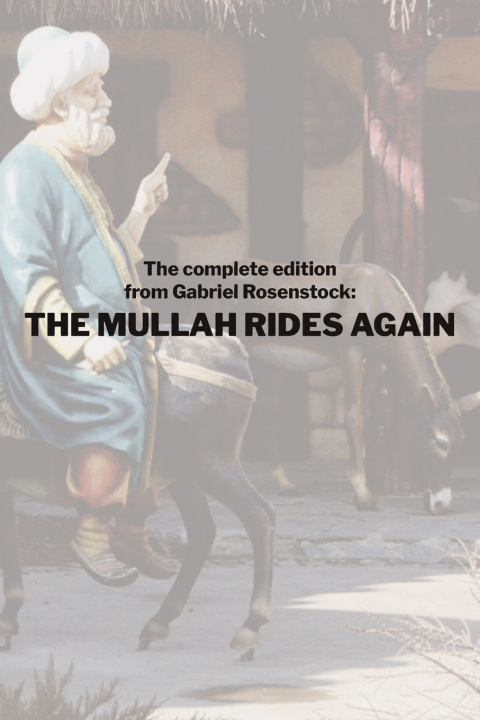 Buch The Mullah Rides Again Gabriel Rosenstock