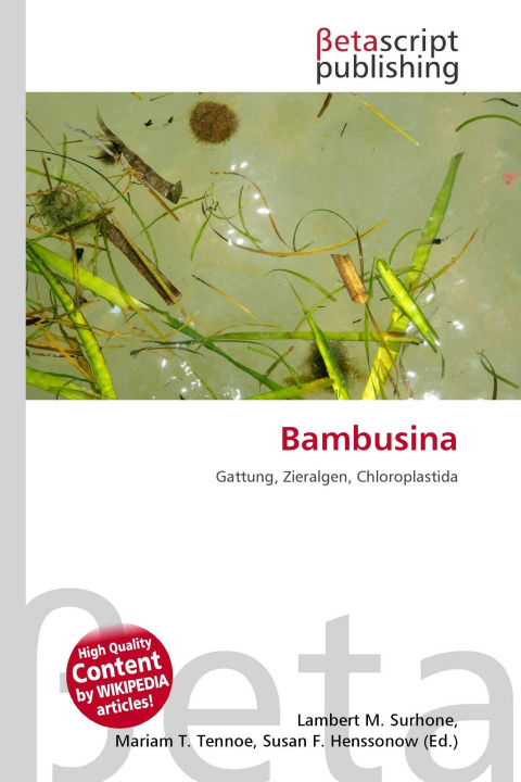 Knjiga Bambusina Mariam T. Tennoe
