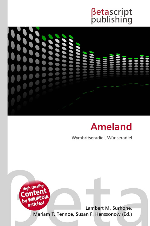 Kniha Ameland Mariam T. Tennoe