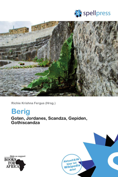 Könyv Berig 