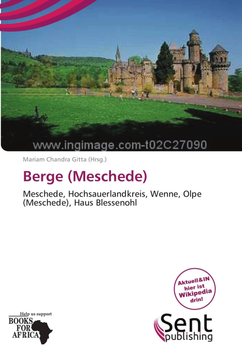 Kniha Berge (Meschede) 