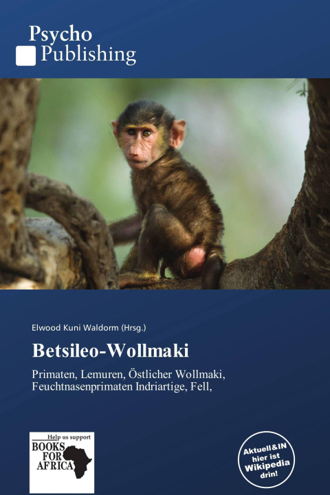 Kniha Betsileo-Wollmaki 