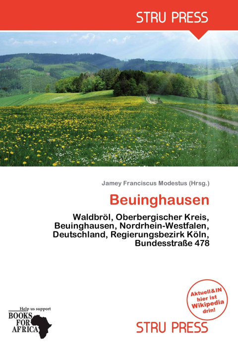 Kniha Beuinghausen 