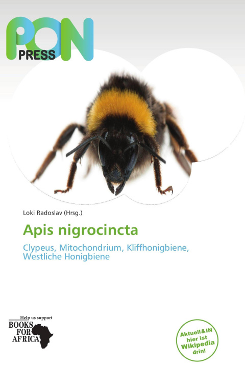 Kniha Apis nigrocincta 