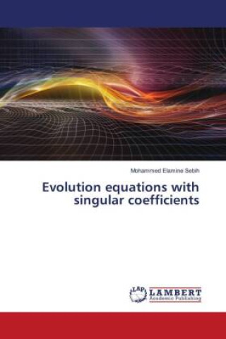 Kniha Evolution equations with singular coefficients Mohammed Elamine Sebih