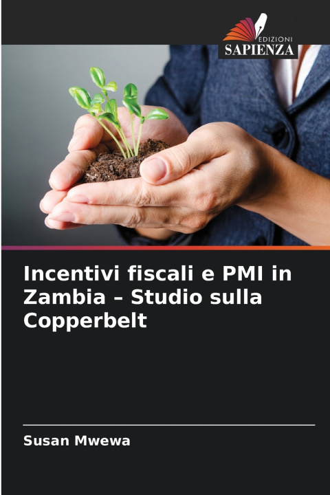 Libro Incentivi fiscali e PMI in Zambia - Studio sulla Copperbelt Susan Mwewa