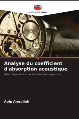 Kniha Analyse du coefficient d'absorption acoustique Apip Amrullah