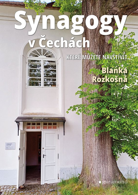 Buch Synagogy v Čechách Blanka Rozkošná