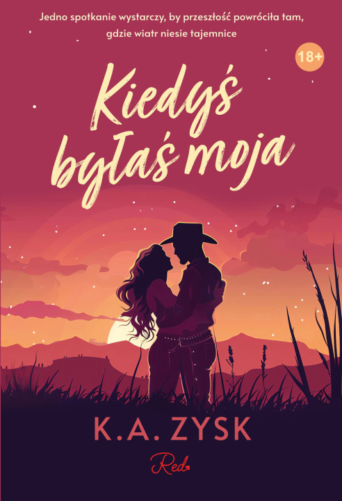 Kniha Kiedyś byłaś moja K.A. Zysk
