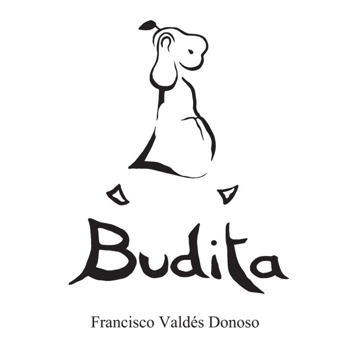Knjiga Budita Francisco Valdés Donoso