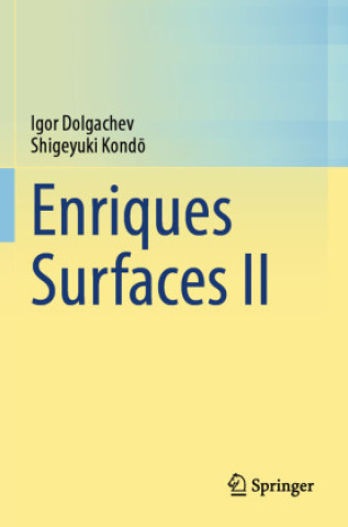 Boek Enriques Surfaces II Igor Dolgachev