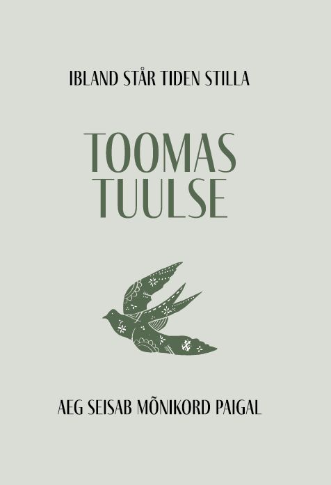 Kniha Aeg seisab mõnikord paigal Toomas Tuulse