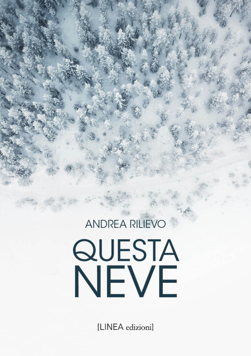 Kniha Questa neve Andrea Rilievo