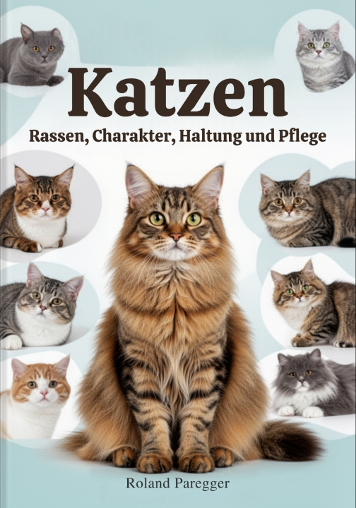 Kniha Katzen Roland Paregger