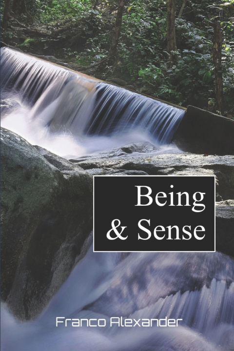 Knjiga Being & Sense Franco Alexander