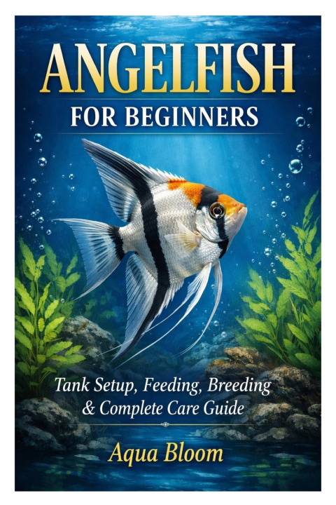 Knjiga Angelfish for Beginners Aqua Bloom