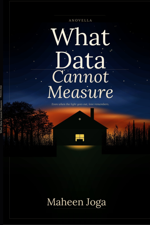 Kniha What Data Cannot Measure Maheen Joga