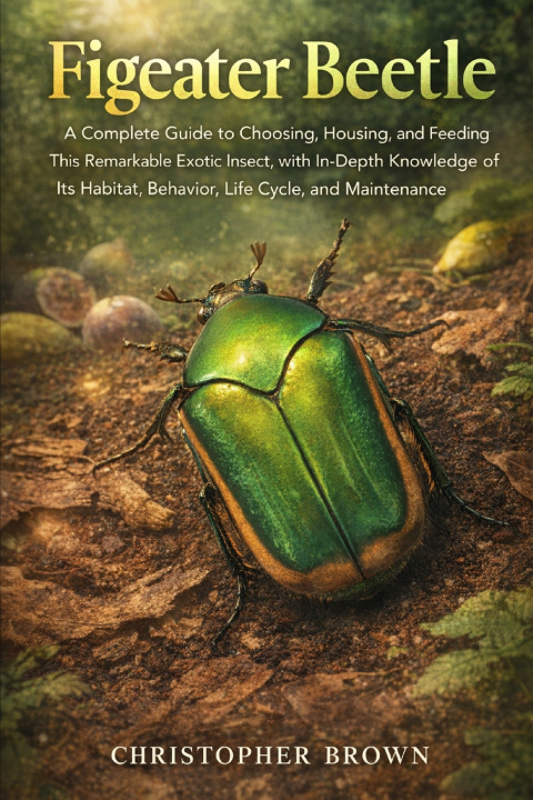 Könyv Figeater Beetle Christopher Brown