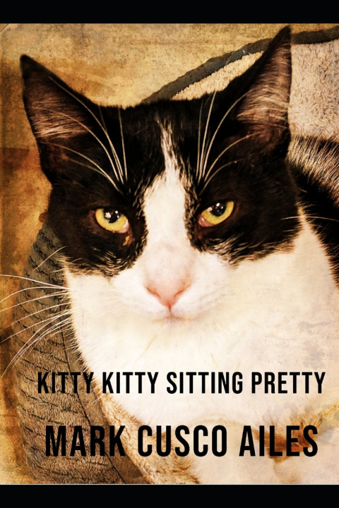 Kniha Kitty Kitty Sitting Pretty Mark Cusco Ailes