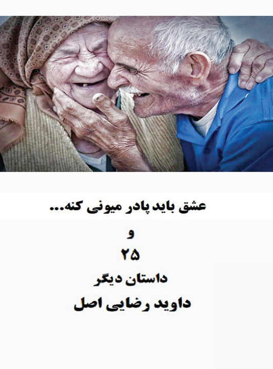 Boek عشق باید پادر میونی کنه و ۲۵داستان دیگر دیوید رضایی اصل