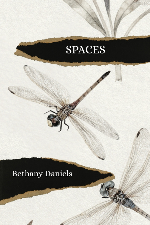 Könyv Spaces Bethany Daniels