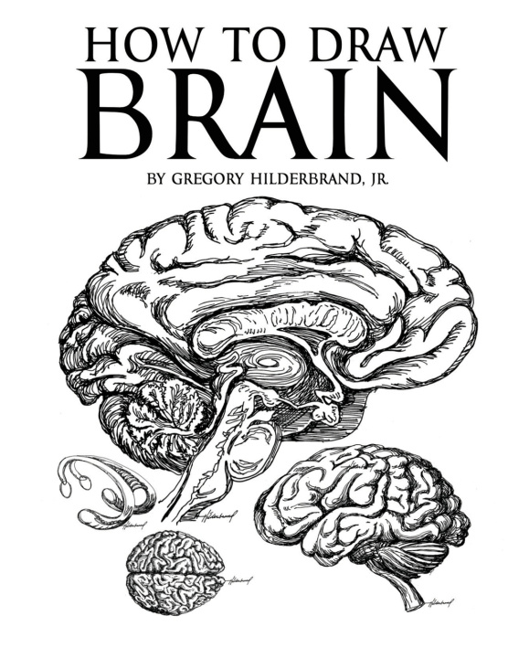 Knjiga How to Draw Brain Gregory Hilderbrand Jr