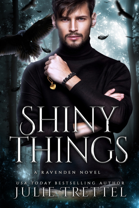 Kniha Shiny Things Julie Trettel