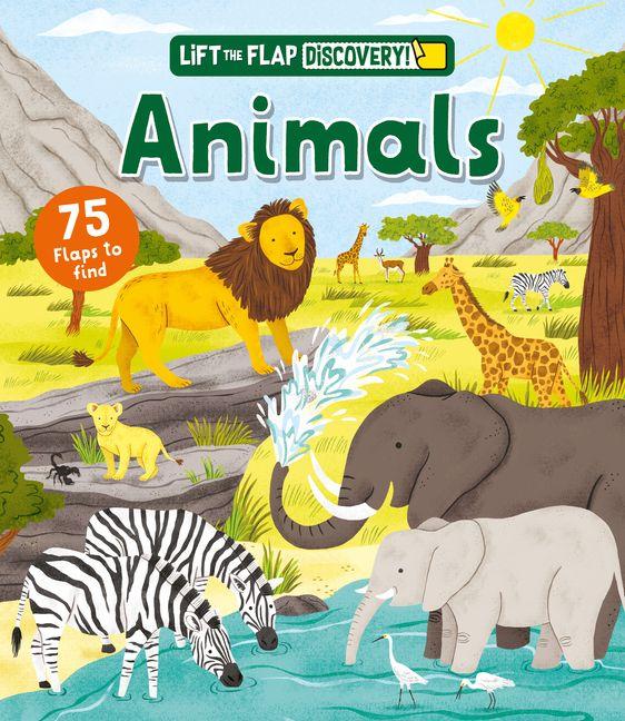 Könyv Lift the Flap: Discovery! Animals Rachael Saunders