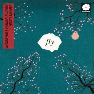 Audio Fly Ingebrigt Håker Flaten (Exit) Knarr