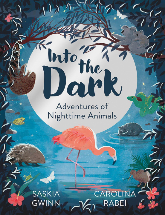 Kniha Into the Dark Carolina Rabei
