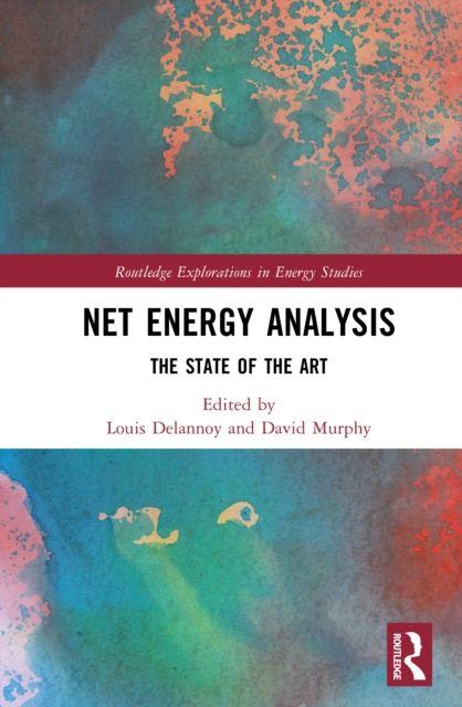 Kniha Net Energy Analysis Louis Delannoy