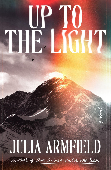 Book Up to the Light Julia Armfield