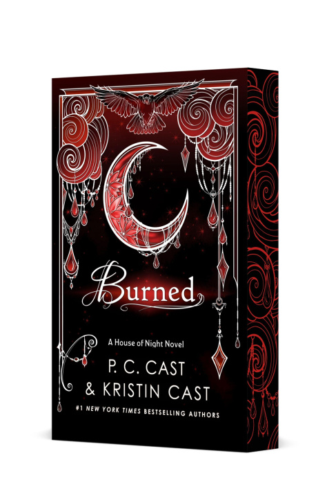 Kniha Burned Kristin Cast