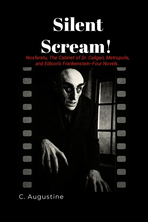 Kniha Silent Scream! C. Augustine