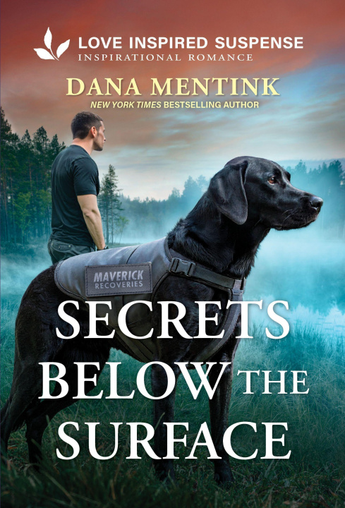 Kniha Secrets Below the Surface 